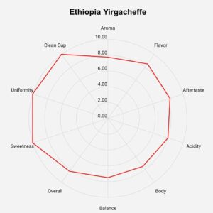 Roastika – Ethiopia Yirgacheffe – Premium Green Coffee Bean – Unroasted Coffee Bean – 2lb