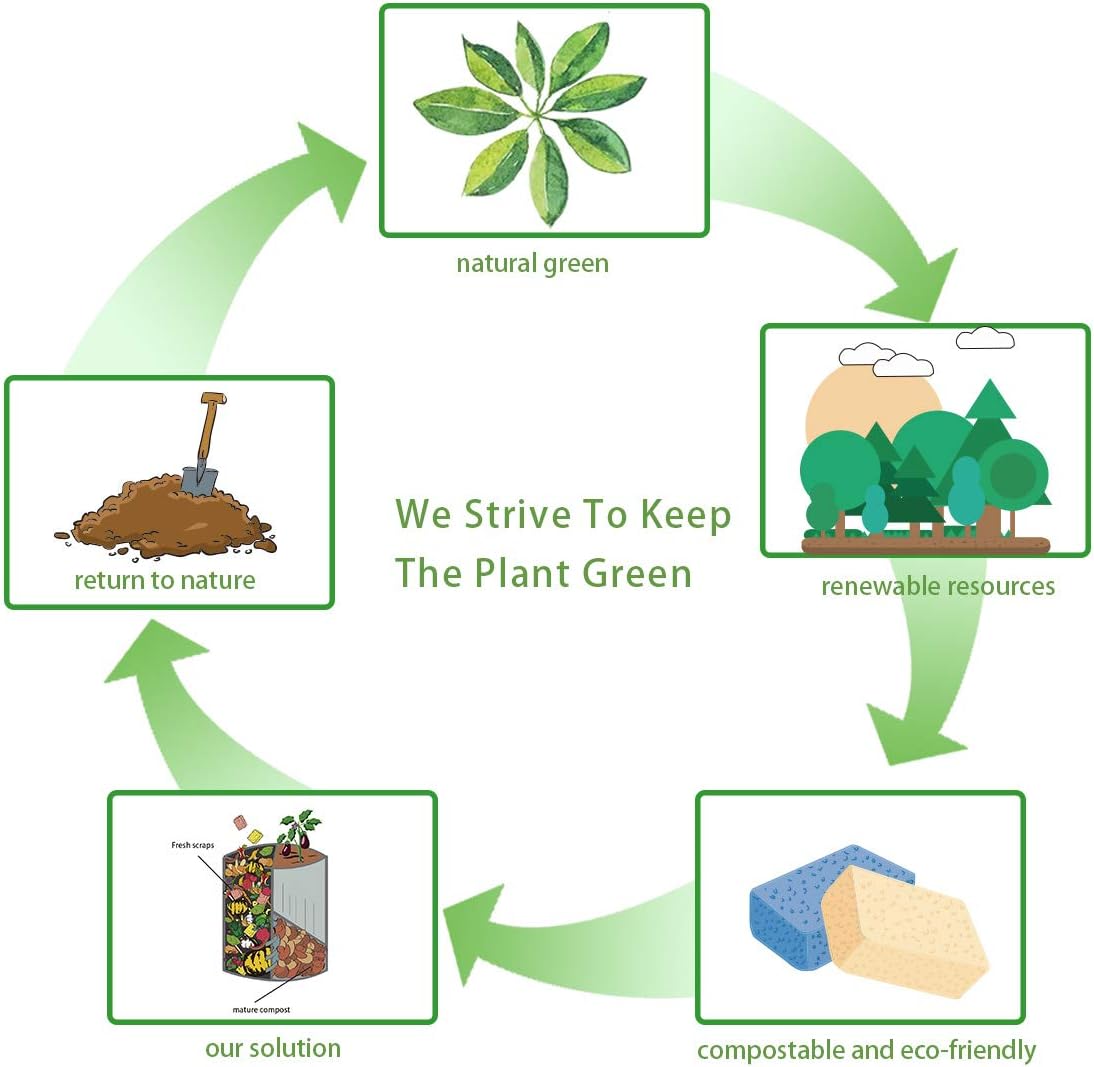 Large Natural Cellulose Cleaning Sponges (3-Pack) – Biodegradable, Absorbent, Multi-Use for Kitchen, Car & Home - Image 7