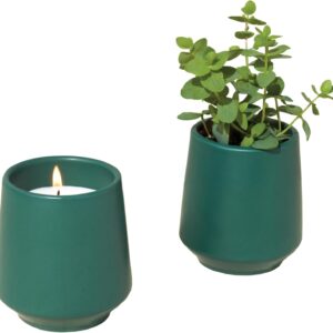 Modern Sprout Rooted Candle – 2 in 1 Tonka Bean Scented & Soy Candle with Seeds That Grows into Thyme Plant – 6 oz w/ 42 hr Burn time in Matte Glaze Ceramic Vessel Ideal for Indoor Herb Garden