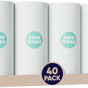 Cloud Paper Bamboo Paper Towels – 40 Rolls of Ultra Absorbent and Durable Paper Towels for Sustainable Cleaning – FSC-Certified, Plastic-Free Packaging, and Chlorine-Free Paper Towel