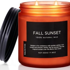 M&SENSE Baltic Amber Scented Candle, 11.6oz Clean Natural Soy Wax Non Toxic Up to 70 Hours Burn Time 2 Cotton Wick Housewarming Candle for Home Scented