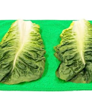 Eurow Microfiber Lettuce Wrap Towels, Ultra Absorbent Terry Weave Vegetable Drying Cloths, Reusable Kitchen Towels for Greens, Herbs, Produce, Space-Saving Alternative,12″ x 42″, Green, 2-Pack