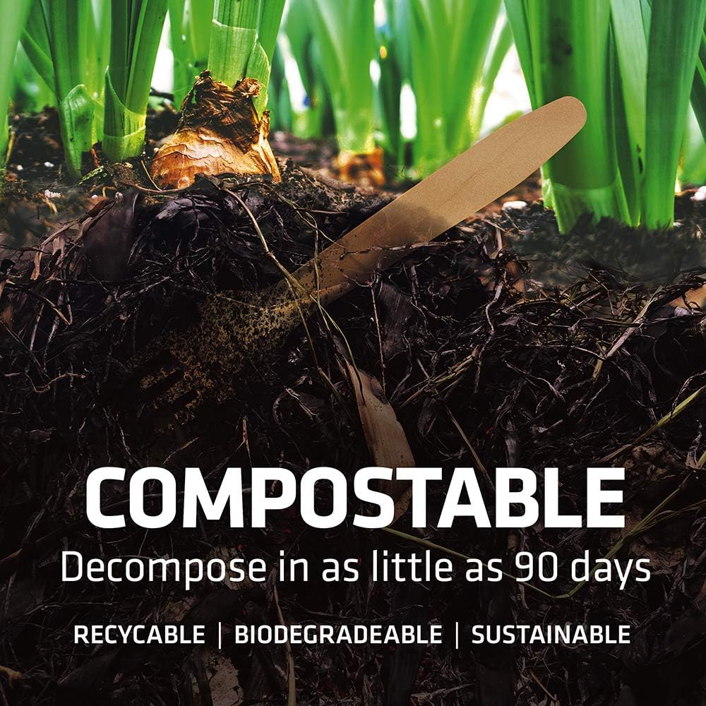 5.5 Inch Wooden Coffee Stirrers, 500 Count, Disposable & Compostable Wood Coffee Stick Stirrers | Eco-Friendly, Sustainable, Organic, Biodegradable, Vegan-Friendly Coffee Station Supplies - Image 4