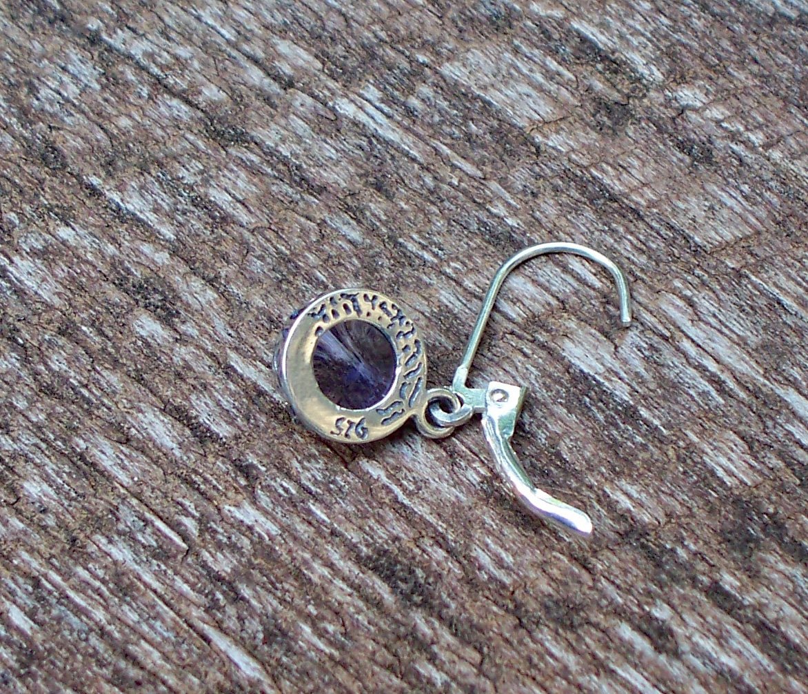 Bottled Up Designs Handmade Vintage Leverback Botanicals Earrings, Sterling Silver, Eco Friendly, Made in USA, Birthday Gifts, Mothers Day, Women, Anniversary (Purple Medicine Bottle) - Image 6