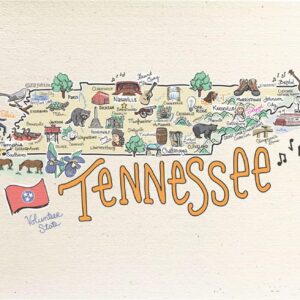 Swedish Dishcloth States (Tennessee) – Pack of 1 Reusable Paper Towels, Highly Absorbent & Biodegradable Dish Cloths, Non-Scratch, Durable, Machine Washable Cleaning Towels