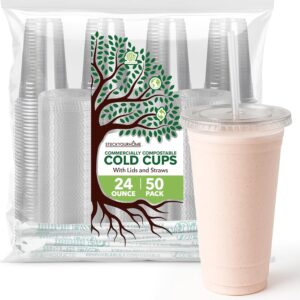Stock Your Home 24 oz Clear Commercially Compostable Cups with Lids and Straws (Set of 50) Plant Based Cold Cups, Eco Party Cup, Environmentally Friendly Recyclable Disposable Sustainable