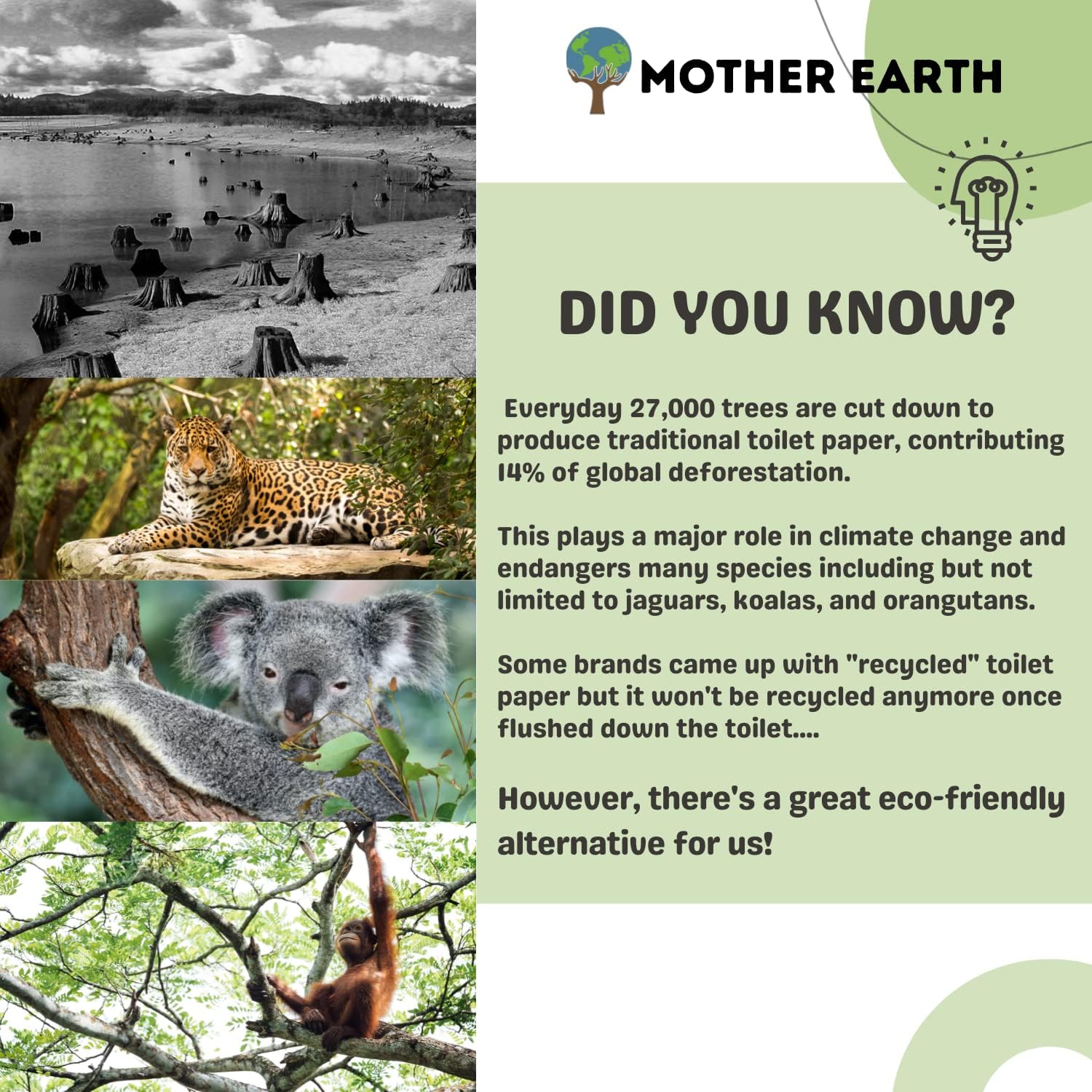 MOTHER EARTH Bamboo Toilet Paper - Ultra Soft & Strong 3-Ply Bath Tissue, 400 Sheets Per Roll, Hypoallergenic & Septic Safe, Mega Rolls, Pack of 24 Rolls - Image 2