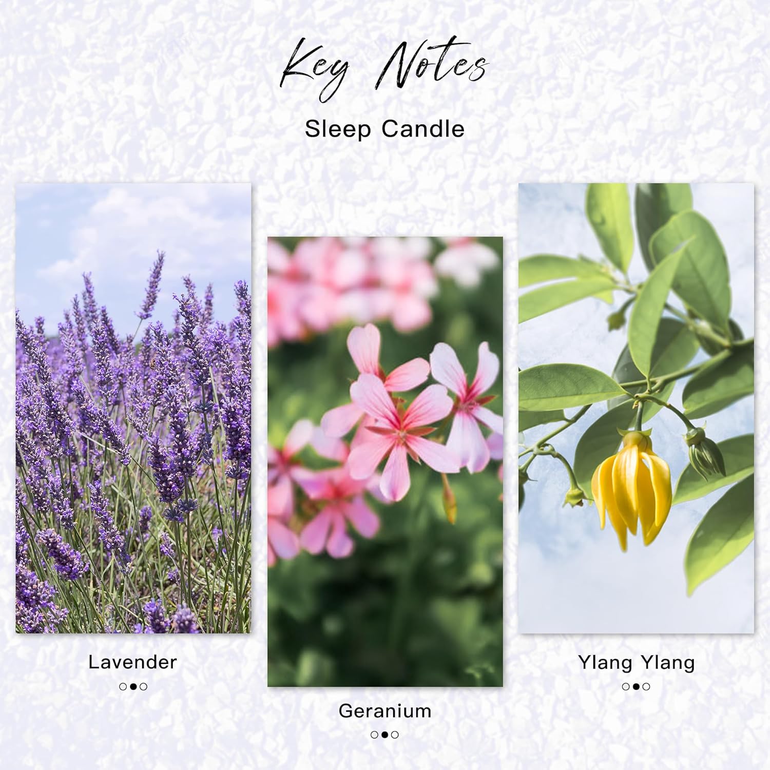 TRINIDa Scented Candles for Men, 3 Sleep Candles for Home Scented with 6.3Oz, Lavender Candle for Women with Geranium & Ylang Ylang, Perfect for Sleeping & Relaxing (+7 Series Options) - Image 4