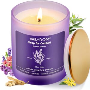 Scented Candles 8.5oz, Lavender Candles for Home Scented, 51 Hours Soothing & Calming Gift for Women, Purple Aromatherapy Candle Set