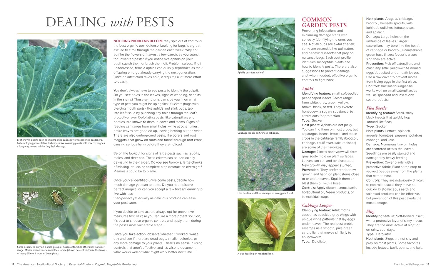 American Horticultural Society Essential Guide to Organic Vegetable Gardening: Techniques and Know-How for Planning, Planting, and Tending a Home Vegetable Garden Organically - Image 7