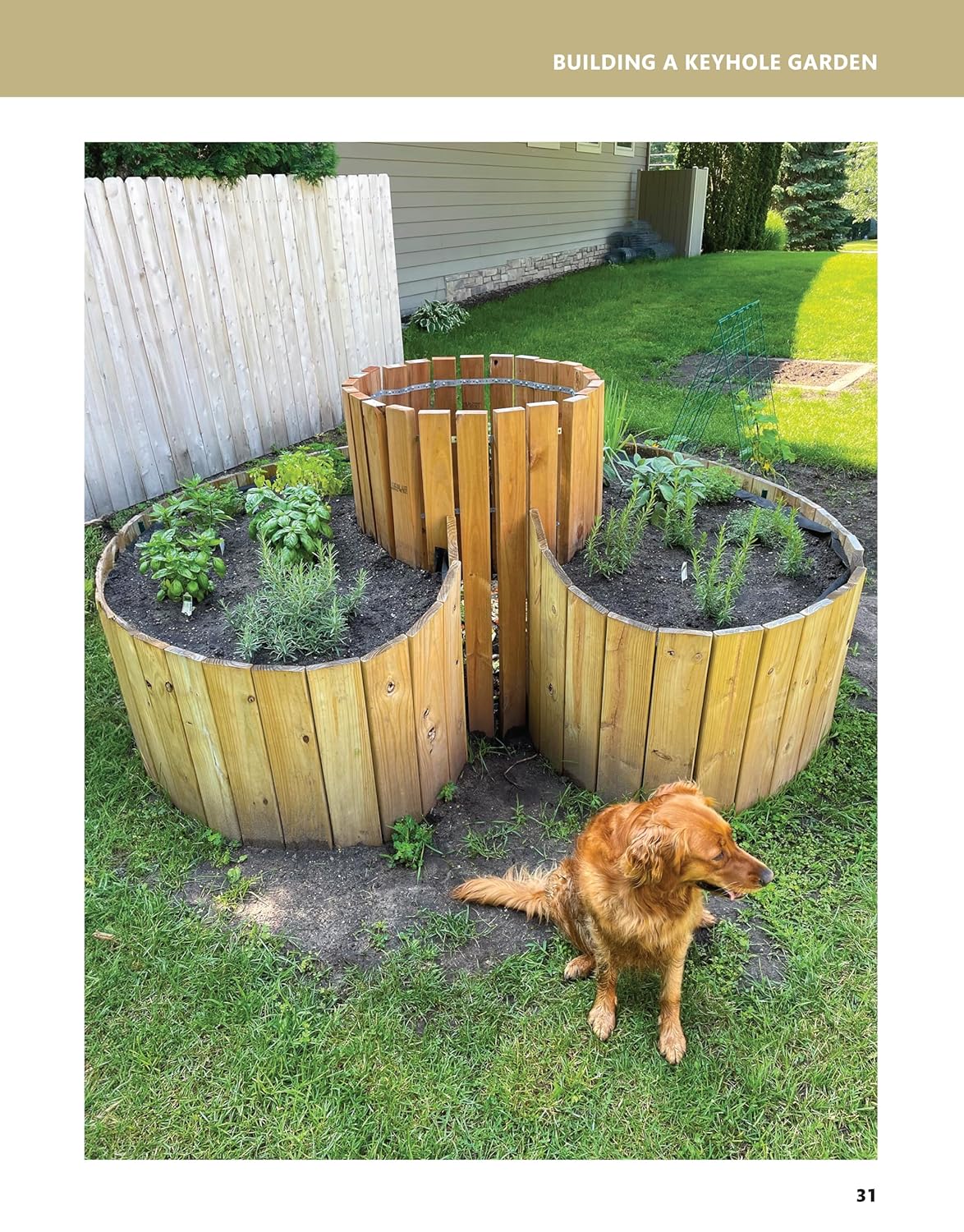 50 Projects for Building Your Backyard Homestead, Updated Edition: A Hands-On, Step-By-Step Sustainable-Living Guide (Creative Homeowner) Self-Sufficiency Gardening, Chicken Coops, Sheds, and More - Image 8