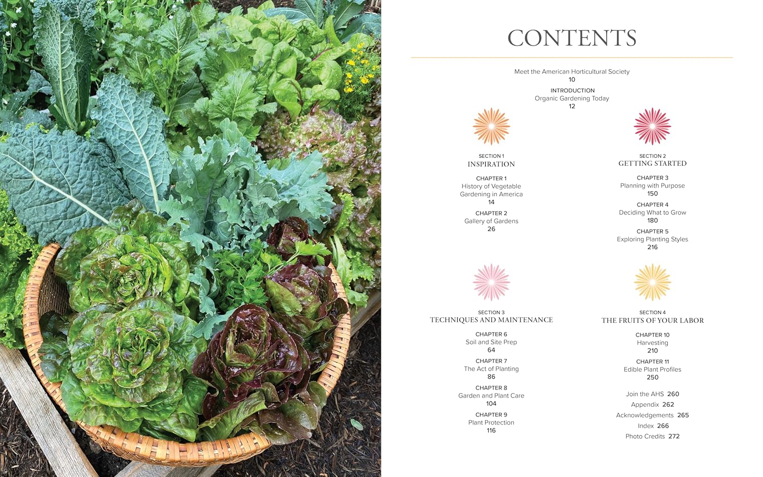 American Horticultural Society Essential Guide to Organic Vegetable Gardening: Techniques and Know-How for Planning, Planting, and Tending a Home Vegetable Garden Organically - Image 3