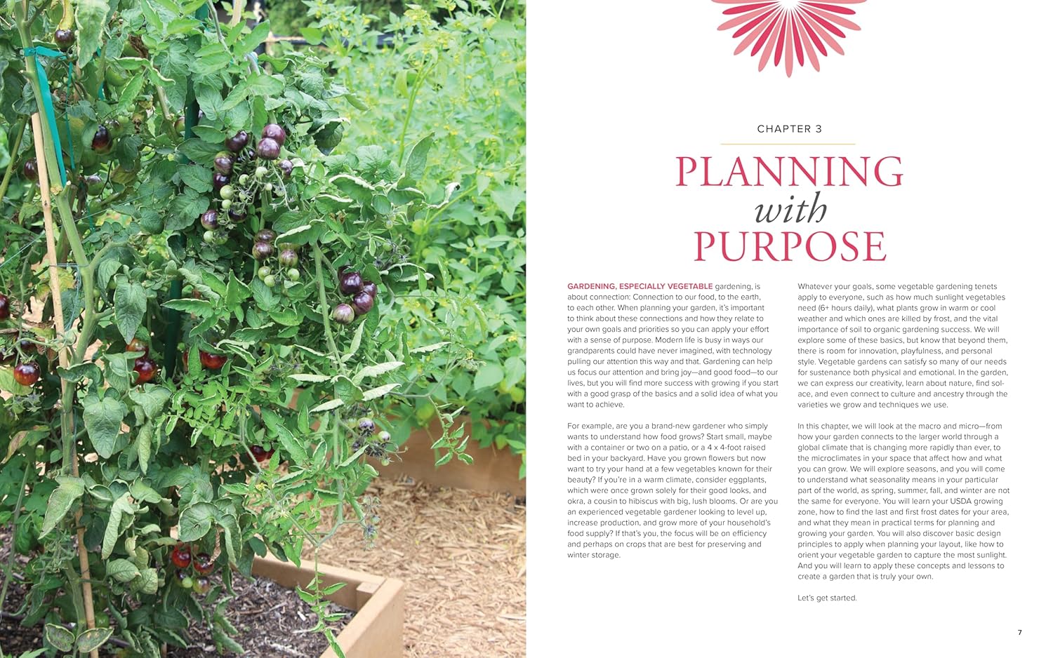 American Horticultural Society Essential Guide to Organic Vegetable Gardening: Techniques and Know-How for Planning, Planting, and Tending a Home Vegetable Garden Organically - Image 4