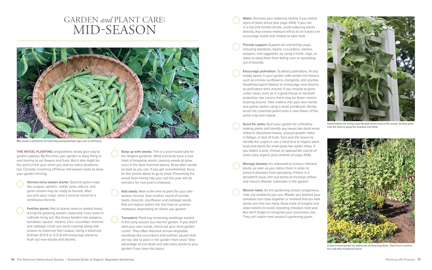 American Horticultural Society Essential Guide to Organic Vegetable Gardening: Techniques and Know-How for Planning, Planting, and Tending a Home Vegetable Garden Organically - Image 9